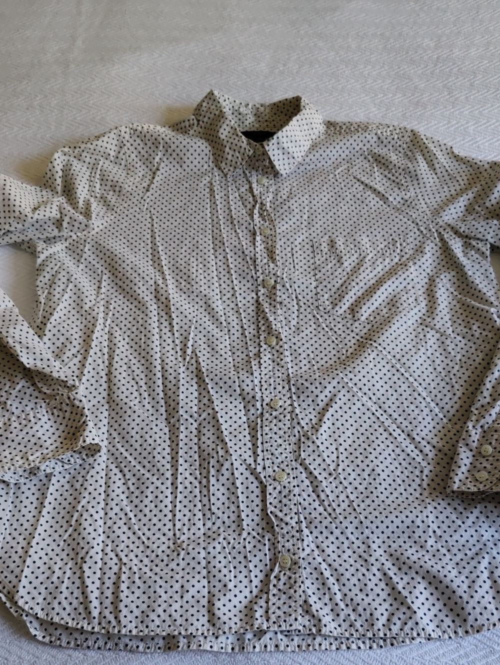J. Crew Pin Dots Button Down Shirt Size 12